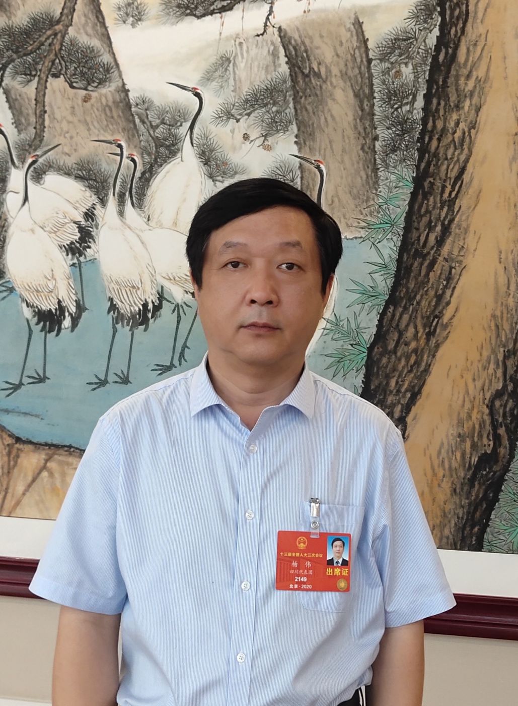 2.全国人大代表、中国科学院院士、开云kaiyun（中国）副总经理杨伟